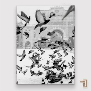 Moscú | Fotografía Animales Blanco y Negro | Cuadros Fine Art