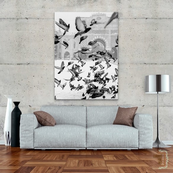 Moscú | Fotografía Animales Blanco y Negro | Cuadros Fine Art