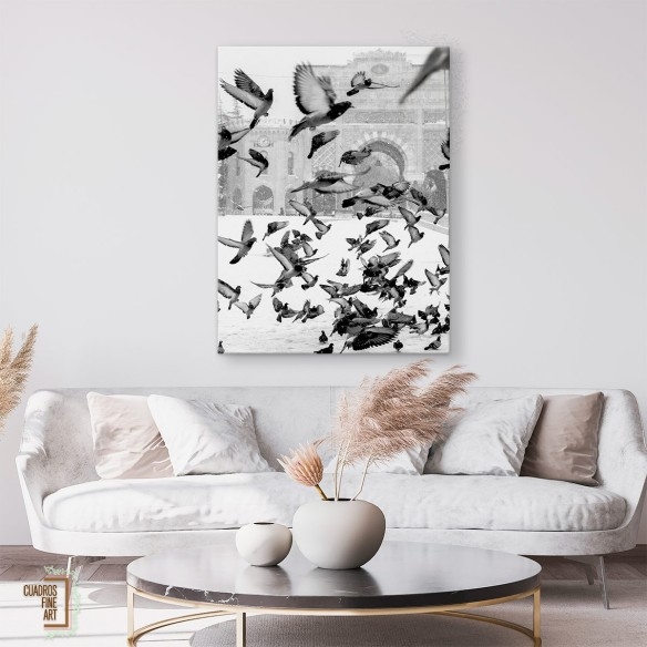 Moscú | Fotografía Animales Blanco y Negro | Cuadros Fine Art