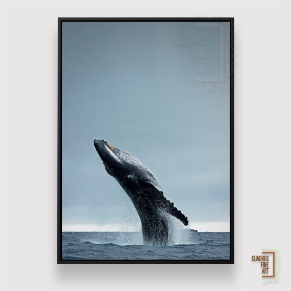 40 Toneladas | Arte Contemporáneo Animales | Cuadros Fine Art