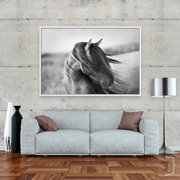 Gracia Feroz | Fotografía B&N Animales | Cuadros Fine Art
