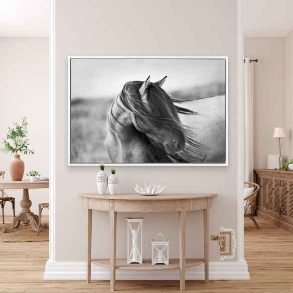 Gracia Feroz | Fotografía B&N Animales | Cuadros Fine Art