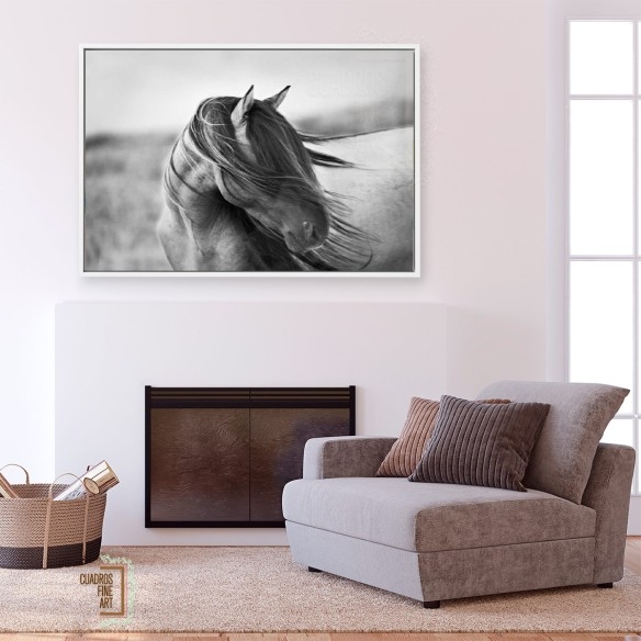 Gracia Feroz | Fotografía B&N Animales | Cuadros Fine Art