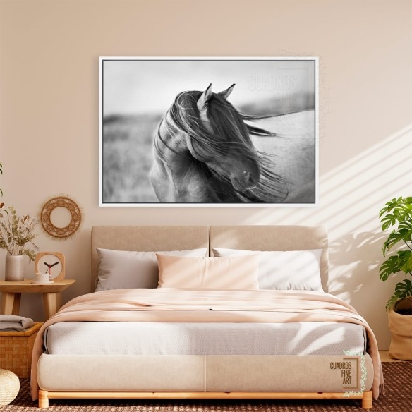 Gracia Feroz | Fotografía B&N Animales | Cuadros Fine Art