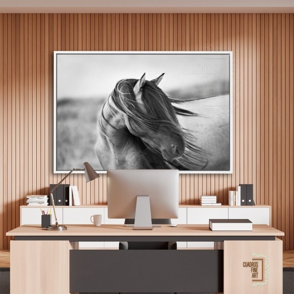 Gracia Feroz | Fotografía B&N Animales | Cuadros Fine Art