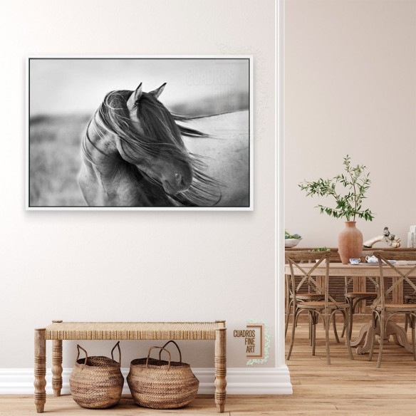 Gracia Feroz | Fotografía B&N Animales | Cuadros Fine Art