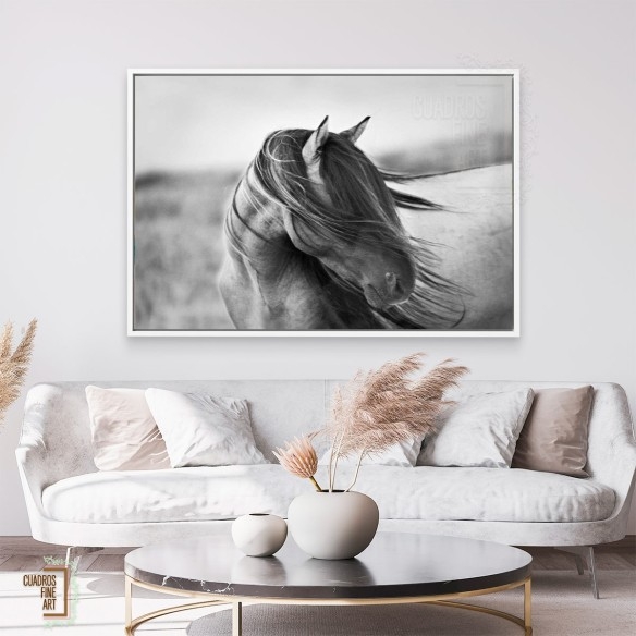 Gracia Feroz | Fotografía B&N Animales | Cuadros Fine Art