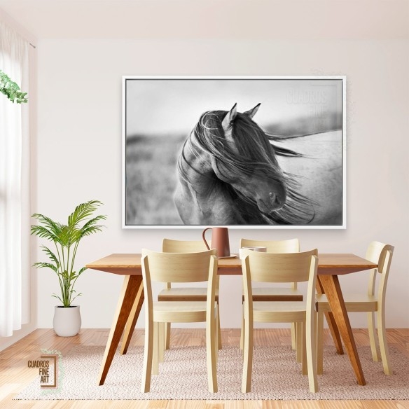 Gracia Feroz | Fotografía B&N Animales | Cuadros Fine Art