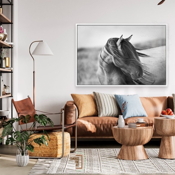 Gracia Feroz | Fotografía B&N Animales | Cuadros Fine Art