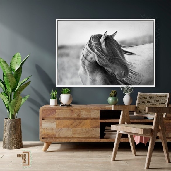 Gracia Feroz | Fotografía B&N Animales | Cuadros Fine Art