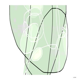 Sombras de luz marina 2