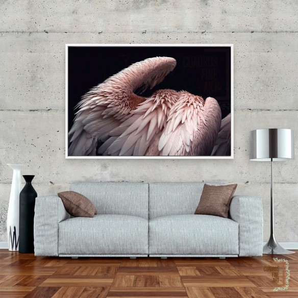 Ostentación 2 | Cuadros de animales | Cuadros Fine Art Colombia