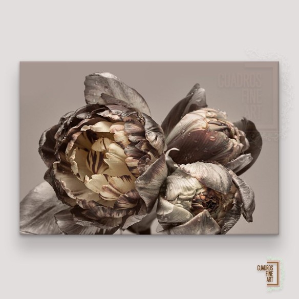 Barroco 4 | Cuadro Floral | Cuadros Fine Art