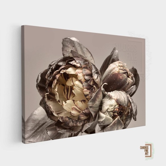 Barroco 4 | Cuadro Floral | Cuadros Fine Art