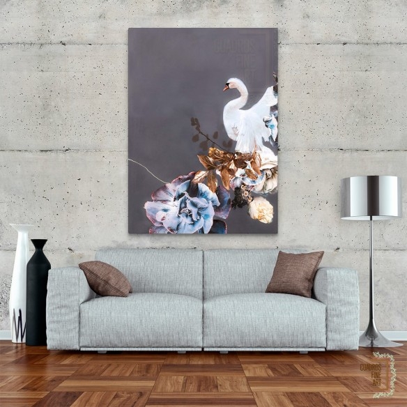 Oro de cisne 2 | Cuadro fine art Animales | Cuadros Fine Art