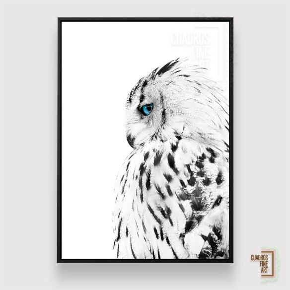 Búho blanco | Giclée Fine Art | Cuadros Fine Art