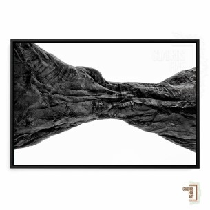 Arcos del Desierto V | Fotografía Blanco y Negro | Galeria