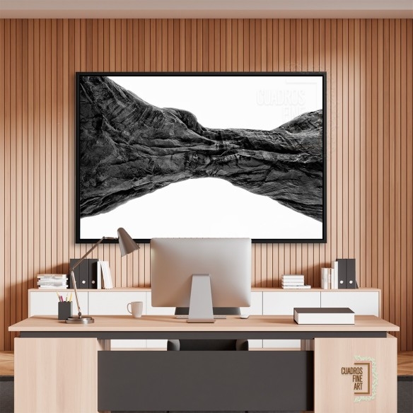 Arcos del Desierto V | Fotografía Blanco y Negro | Galeria