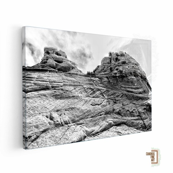Tierras del Cañón I | Cuadro B&N | Cuadros Fine Art