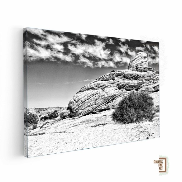 Tierras del Cañón II | Fotografía Paisaje Blanco y Negro