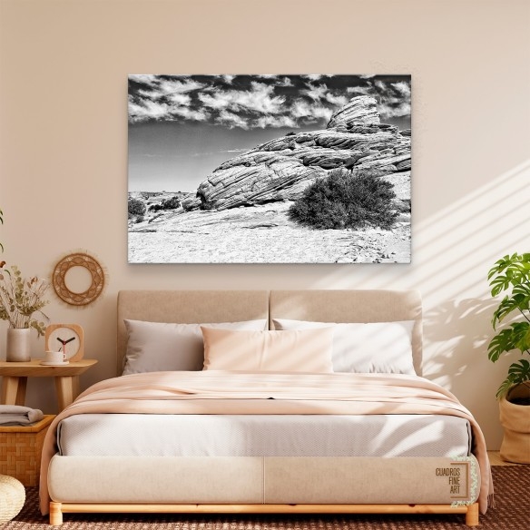 Tierras del Cañón II | Fotografía Paisaje Blanco y Negro