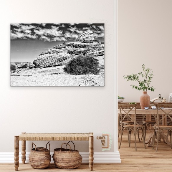 Tierras del Cañón II | Fotografía Paisaje Blanco y Negro