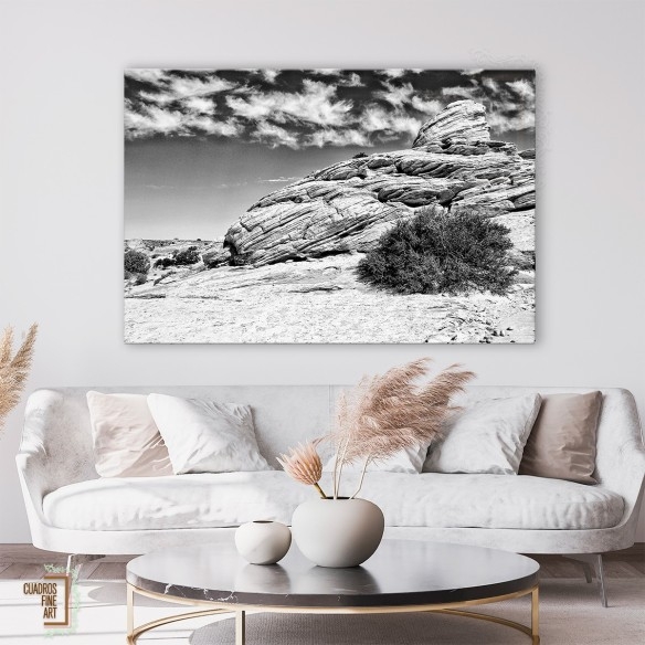 Tierras del Cañón II | Fotografía Paisaje Blanco y Negro