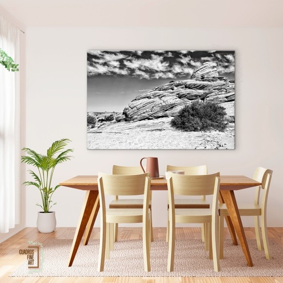 Tierras del Cañón II | Fotografía Paisaje Blanco y Negro