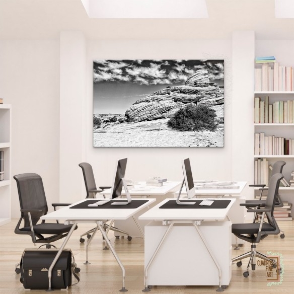 Tierras del Cañón II | Fotografía Paisaje Blanco y Negro
