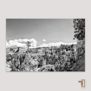 Tierras del Cañón VI | Fotografía Paisaje B/N | Cuadros FA