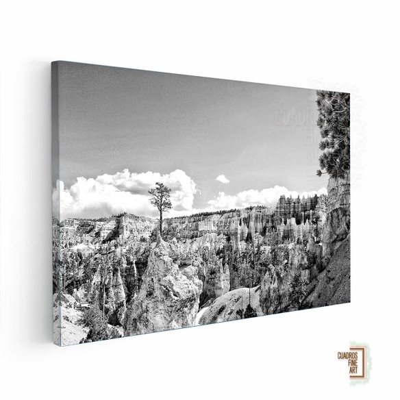 Tierras del Cañón VI | Fotografía Paisaje B/N | Cuadros FA