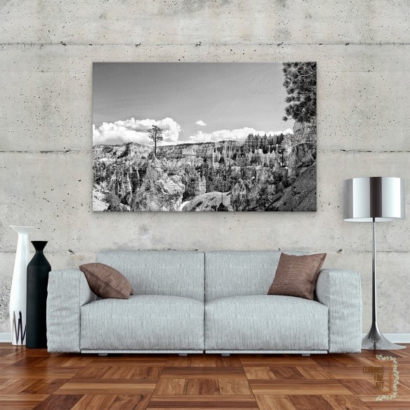 Tierras del Cañón VI | Fotografía Paisaje B/N | Cuadros FA