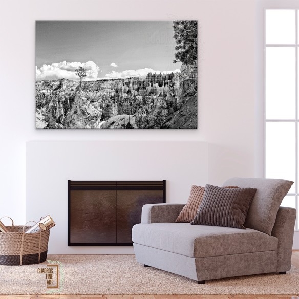 Tierras del Cañón VI | Fotografía Paisaje B/N | Cuadros FA