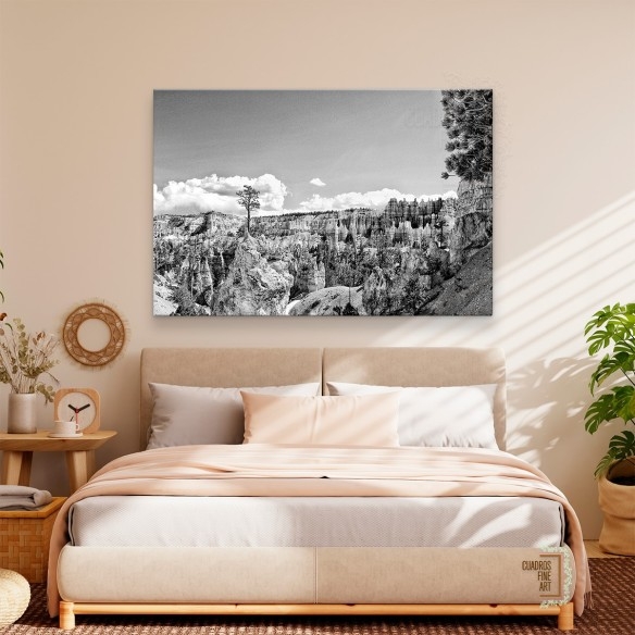 Tierras del Cañón VI | Fotografía Paisaje B/N | Cuadros FA