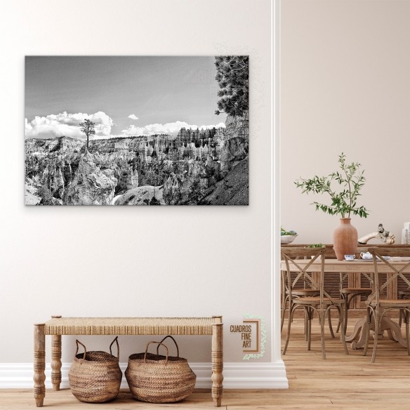 Tierras del Cañón VI | Fotografía Paisaje B/N | Cuadros FA