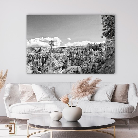 Tierras del Cañón VI | Fotografía Paisaje B/N | Cuadros FA