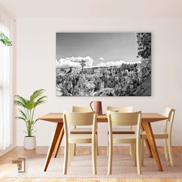 Tierras del Cañón VI | Fotografía Paisaje B/N | Cuadros FA