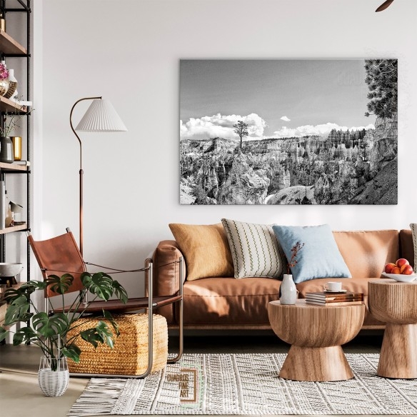 Tierras del Cañón VI | Fotografía Paisaje B/N | Cuadros FA