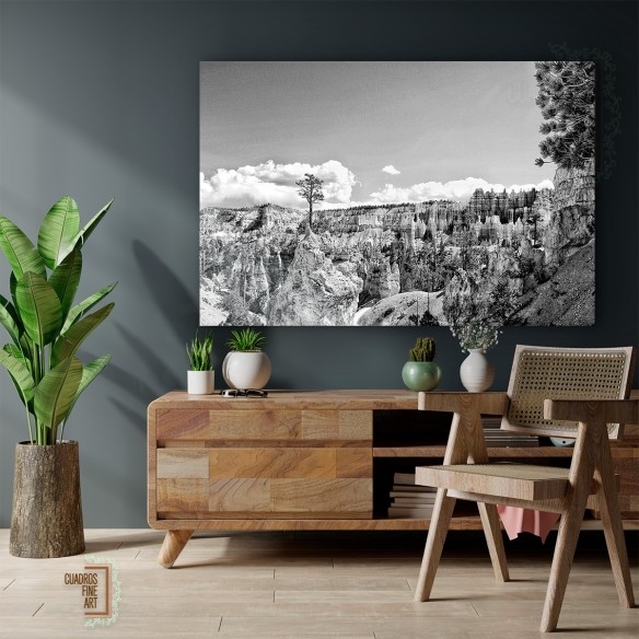 Tierras del Cañón VI | Fotografía Paisaje B/N | Cuadros FA
