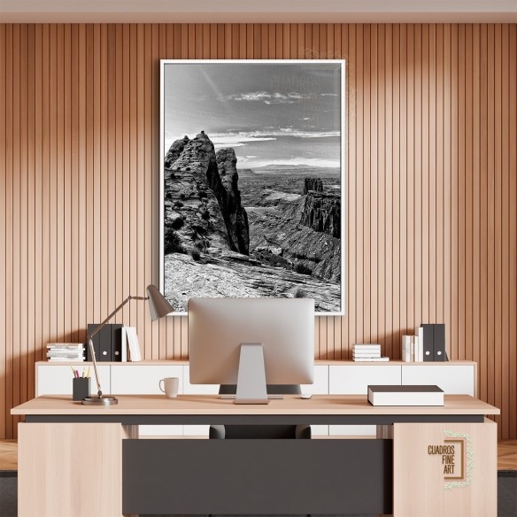 Tierras del Cañón VII | Cuadro blanco y negro | Cuadros FA