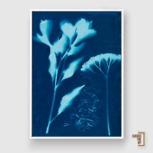 Cianotipo no 15 | Cuadro Botánico | Cuadros Fine Art 2