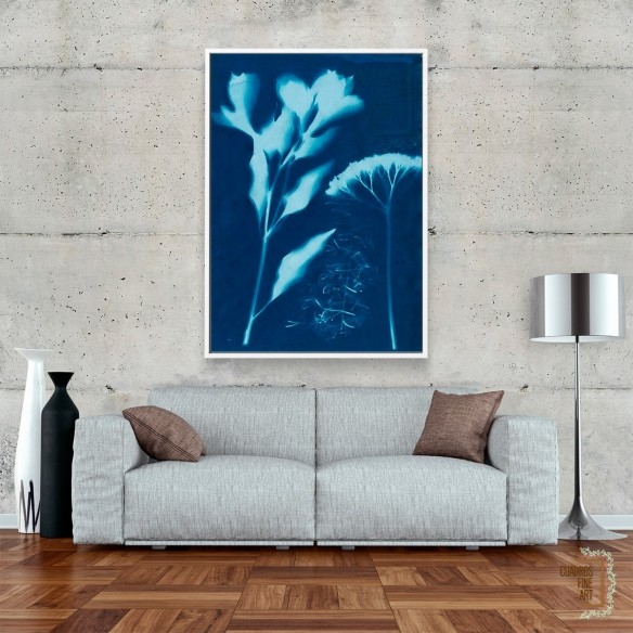 Cianotipo no 15 | Cuadro Botánico | Cuadros Fine Art