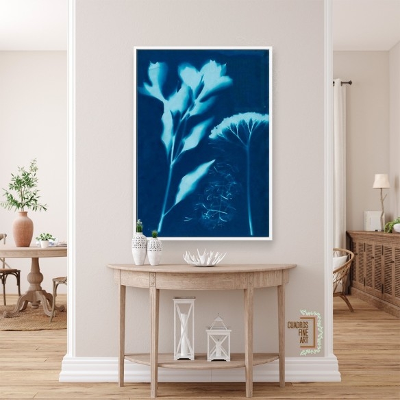 Cianotipo no 15 | Cuadro Botánico | Cuadros Fine Art