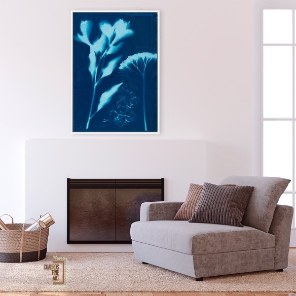 Cianotipo no 15 | Cuadro Botánico | Cuadros Fine Art