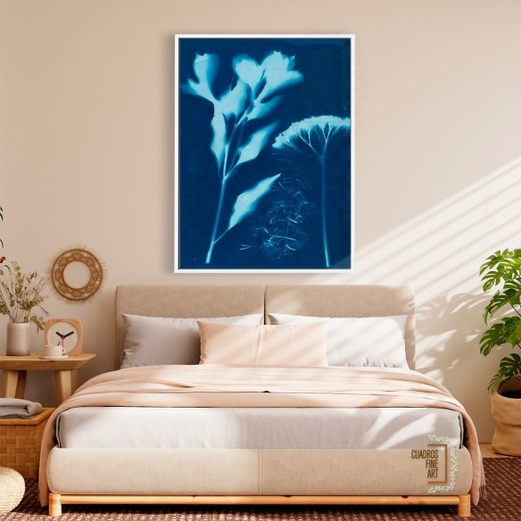Cianotipo no 15 | Cuadro Botánico | Cuadros Fine Art
