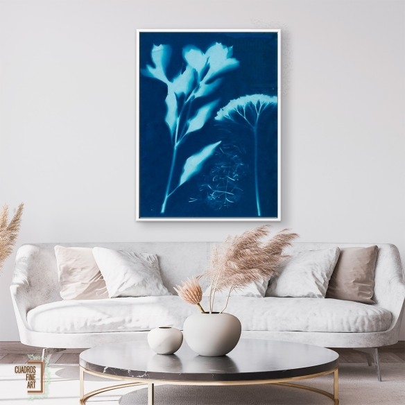 Cianotipo no 15 | Cuadro Botánico | Cuadros Fine Art