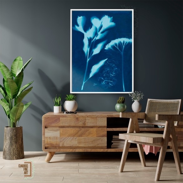 Cianotipo no 15 | Cuadro Botánico | Cuadros Fine Art