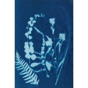 Cianotipo no.16 | Cuadro Botánico | Cuadros Fine Art