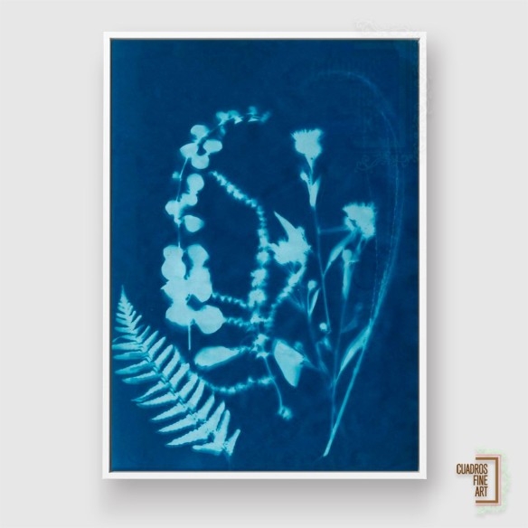 Cianotipo no.16 | Cuadro Botánico | Cuadros Fine Art