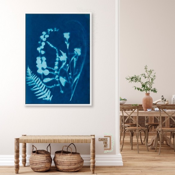 Cianotipo no.16 | Cuadro Botánico | Cuadros Fine Art